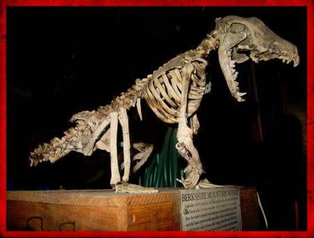 newberkshiremountainmonkey I think it had skin and muscles... maybe.