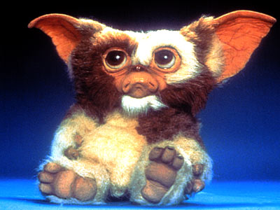 No, they named him Mowgli, not Mogwai...
