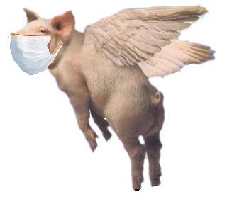 Swine Flew