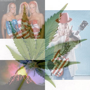 weirddream Something something America!