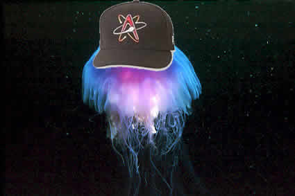 Known for: being a fair-weather fan, squishy