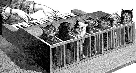 Play him off, cat piano!