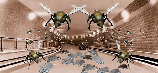 windsor-tunnel-infected