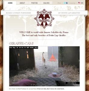 petite lap giraffe