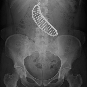 Great product, but don't get it mixed up with the banana! (CAPTION FROM AMAZON)